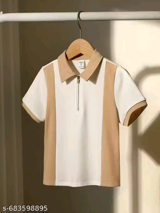 Men Regular Fit Polo T-Shirt with Zipper Collar