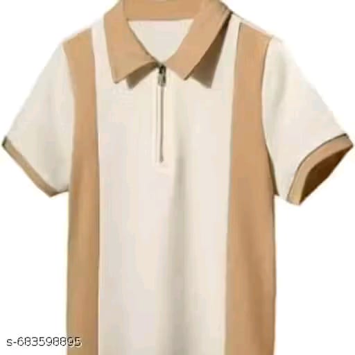 Men Regular Fit Polo T-Shirt with Zipper Collar